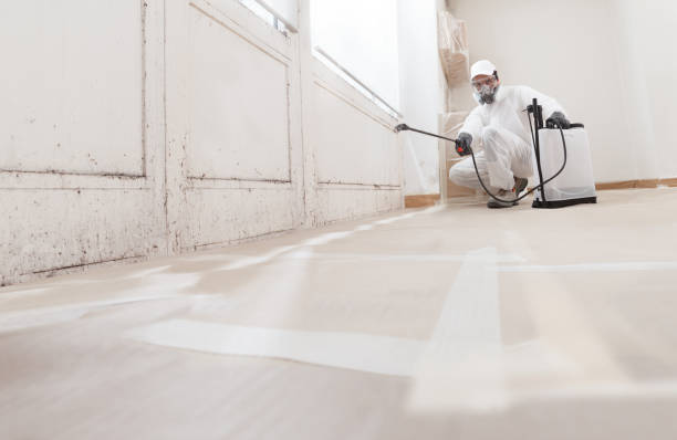 24/7 Emergency Mold Remediation experts in Rocky Mount, VA