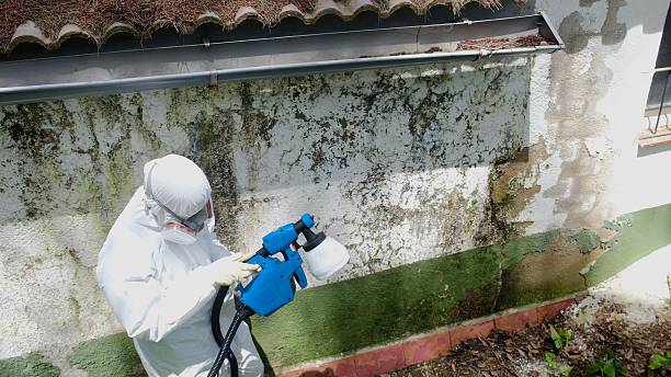 Top rated local Mold Remediation specialists in Rocky Mount, VA